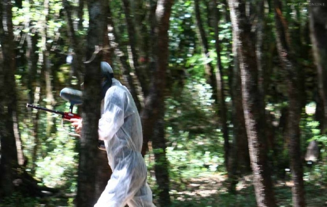  En plena naturaleza 